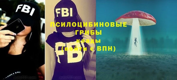 индика Заволжье
