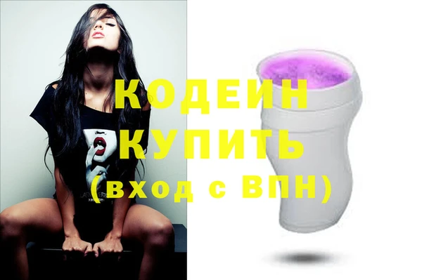 индика Заволжье
