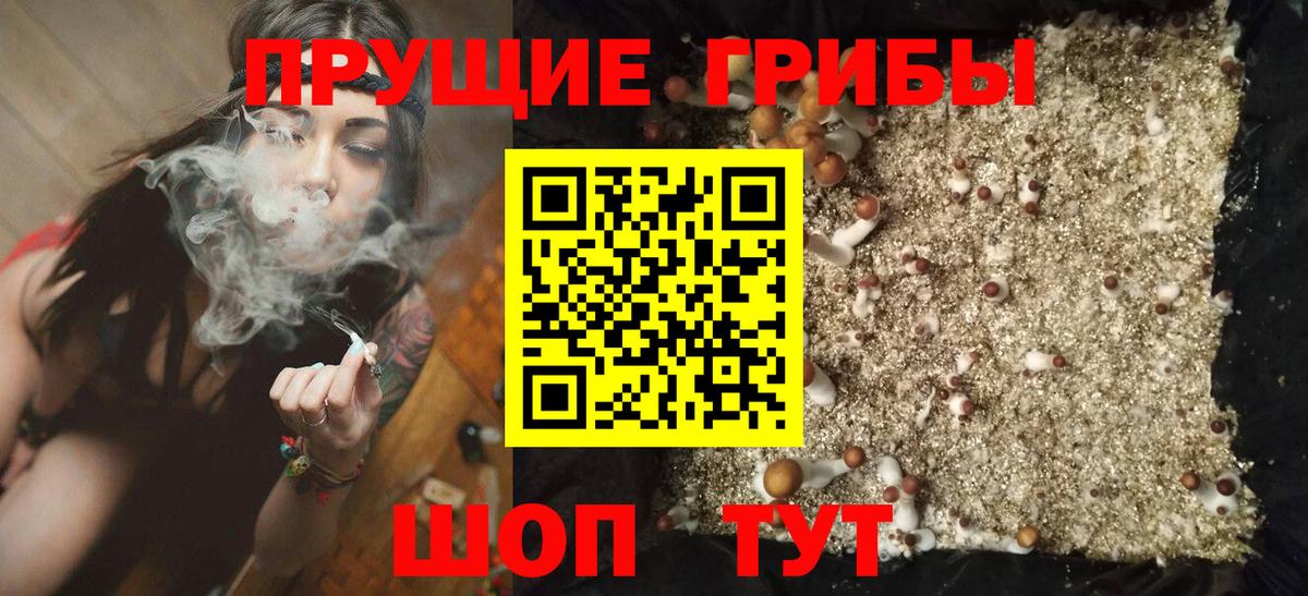 Галлюциногенные грибы Cubensis Кандалакша